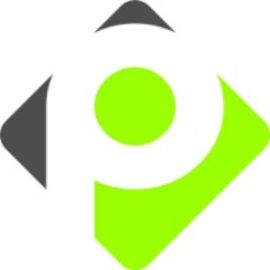 Pioneiro Combustíveis