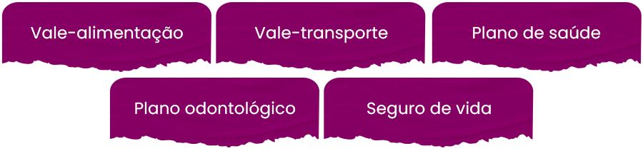Vale-alimentação, vale-transporte, plano de saúde, plano odontológico, seguro de vida.
