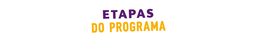 Etapas do programa
