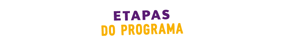 Etapas do programa