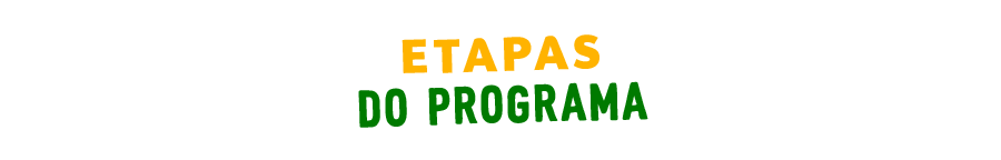 Etapas do programa