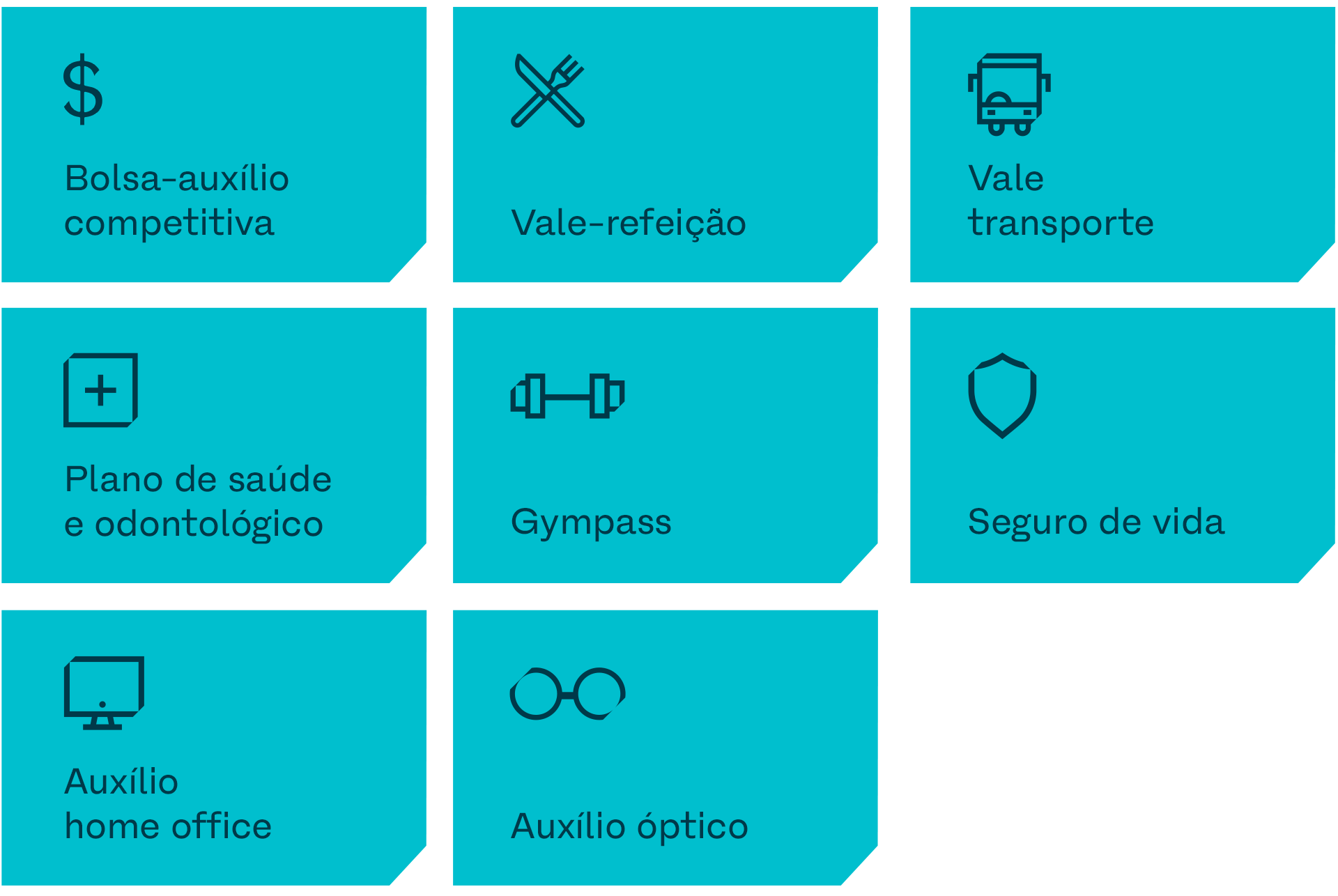Bolsa auxílio competitiva, Vale refeição, Vale transporte, Plano de saúde, Plano odontológico, Gympass, Seguro de vida, Auxílio home office e Auxílio óptico.